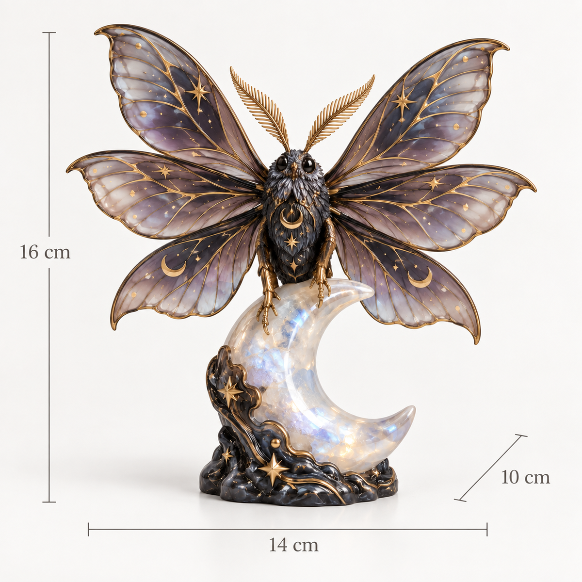 Starwell Moth